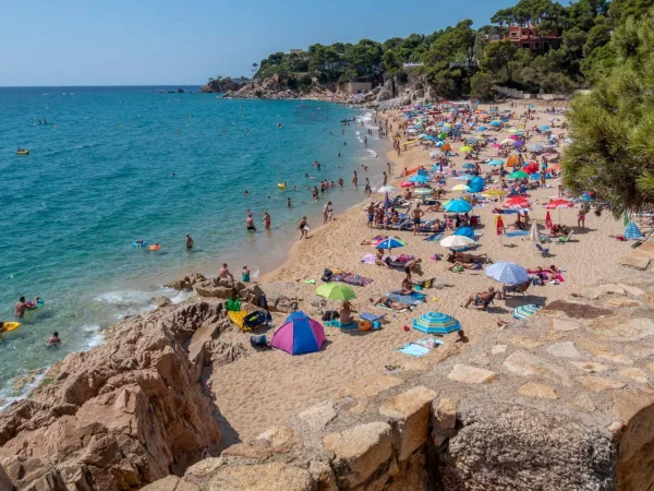 Spiaggia sabbiosa del campeggio Roan Internacional de Calonge.