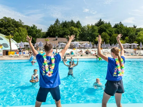 Animazione in piscina al campeggio Roan Birkelt.