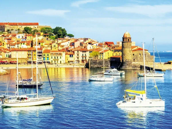 Le Port de Collioure al Roan camping Les Dunes.