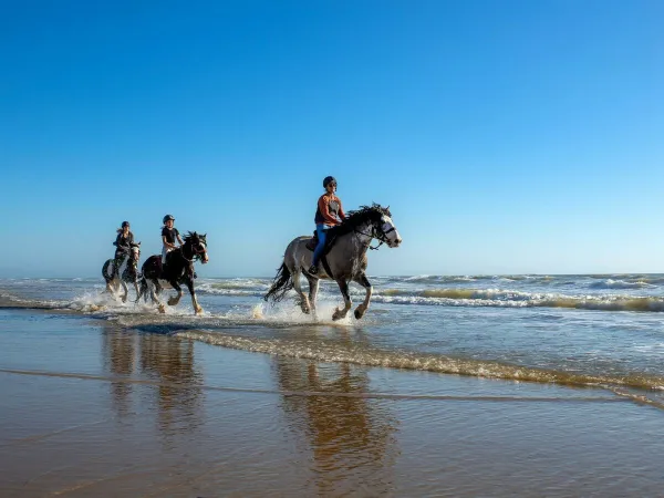 Equitazione vicino al campeggio Roan Atlantic Club Montalivet.
