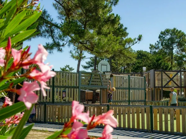 Area multisport del campeggio Roan Atlantic Club Montalivet.