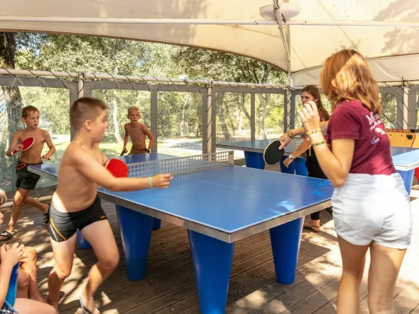 Tennis da tavolo al campeggio Roan Domaine Massereau.