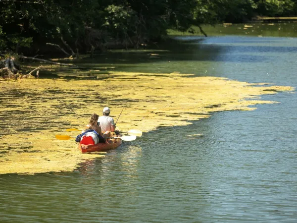 Canoa vicino al campeggio Roan Domaine Massereau.