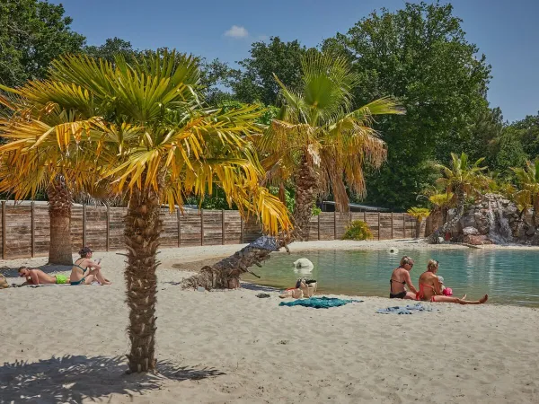 Persone che prendono il sole presso la piscina della laguna del campeggio Roan La Clairière.