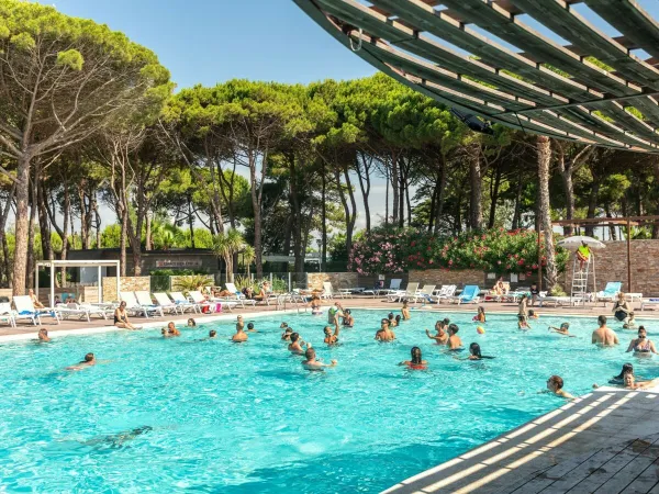 La piscina del campeggio Roan Le Castellas.