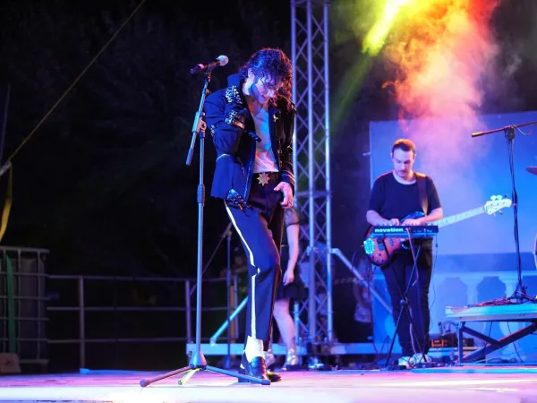 Spettacolo serale al campeggio Roan Union Lido Mare.