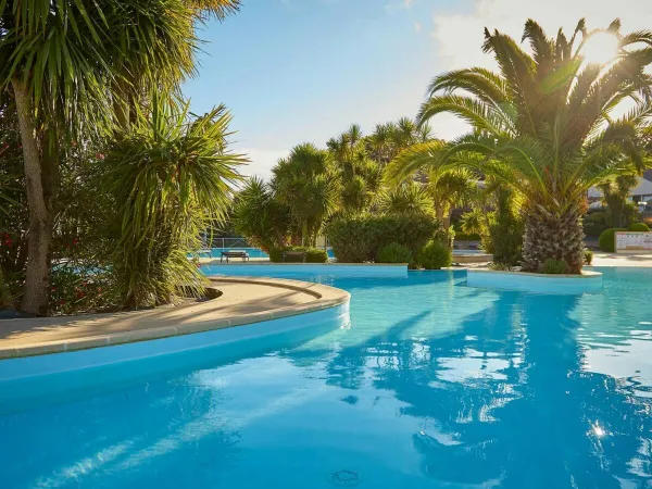 Atmosfera piscina al campeggio Roan Grande Métairie.