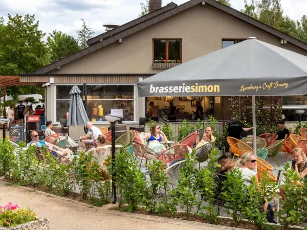 Godersi il sole sulla terrazza del Roan camping Birkelt