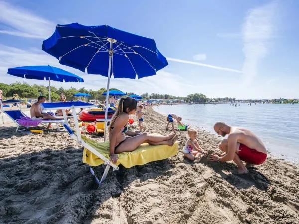 Spiaggia con lettini al campeggio Roan Zaton Holiday Resort.