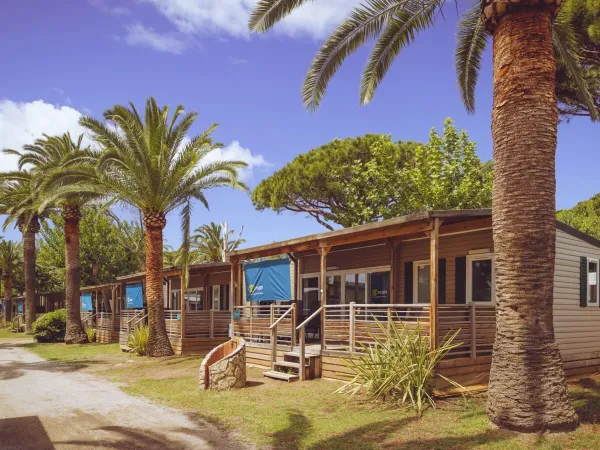 Case mobili tra le palme del campeggio Roan di Playa Montroig.