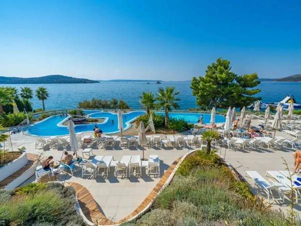 Piscina e lettini con vista sul mare al campeggio Roan Amadria Park Trogir.