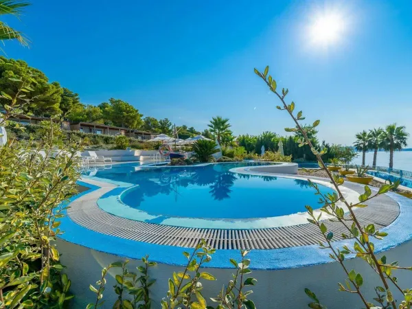 Piscina del campeggio Roan Amadria Park Trogir.