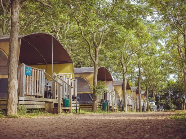 Alloggio in vacanza al Roan Camping Le Capanne.