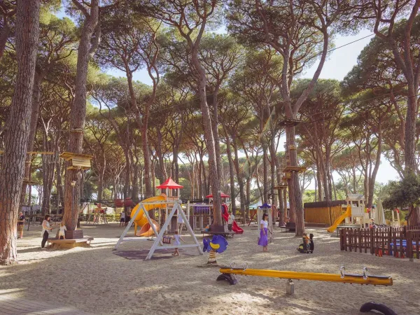 Parco giochi e percorso di tree-climbing al Roan camping hu Park Albatros village.