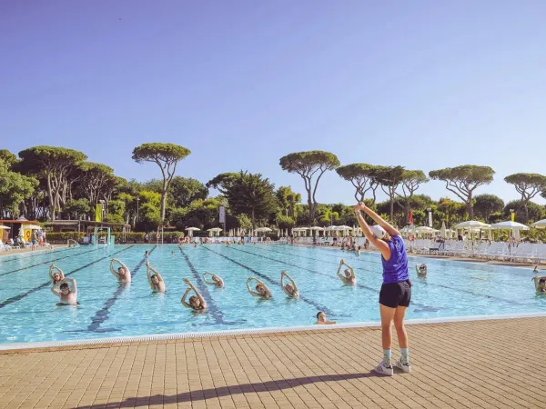 Animazione in piscina al Roan camping hu Park Albatros village.