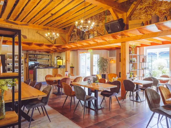 Brasserie 'de Koers' presso il campeggio Roan 't Veld.