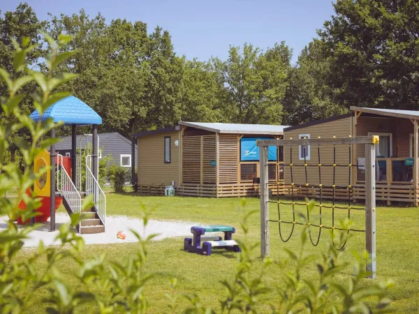 Accogliente campo con case mobili e parco giochi al Roan camping 't Veld.