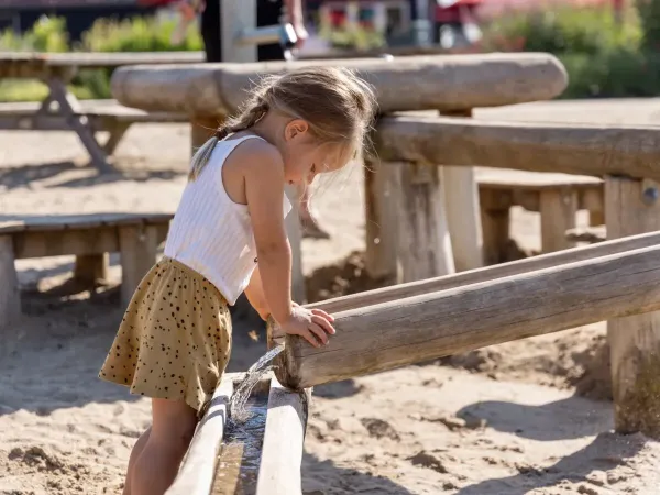 Divertimento nel parco giochi acquatico del campeggio Roan De Twee Bruggen.