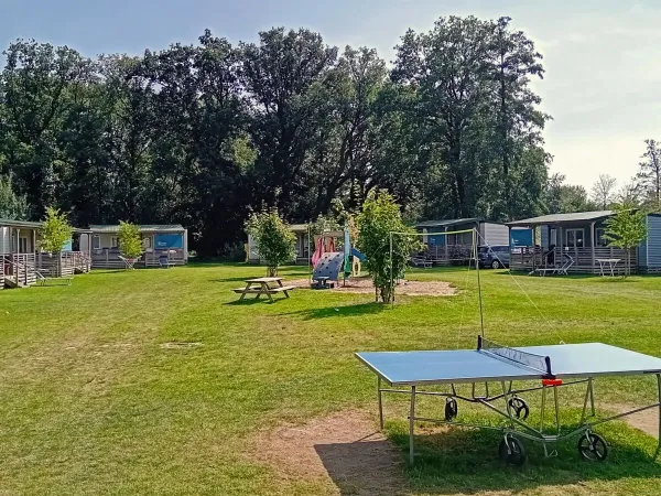 Campo Roan con parco giochi e tavolo da ping pong al campeggio Roan De Twee Bruggen.