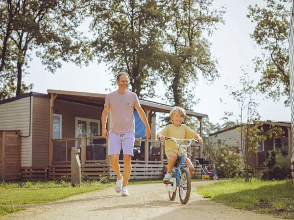 Biciclette per bambini Roan gratuite per bambini fino a 6 anni.