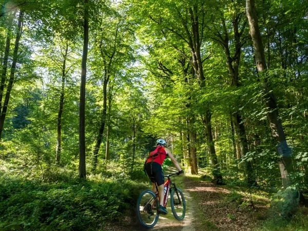Mountain bike nella splendida campagna lussemburghese al Roan camping hu Birkelt village.