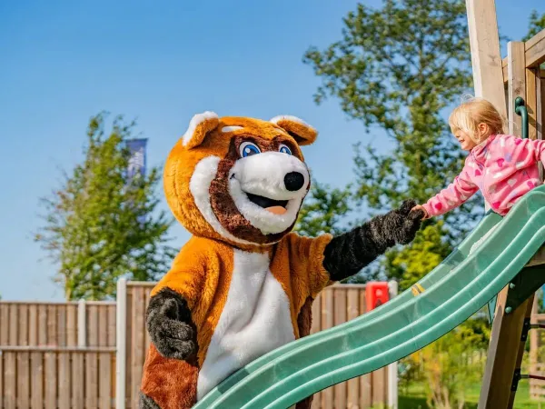 Mascotte Homy al campeggio Roan Marvilla Parks Friese Meren.