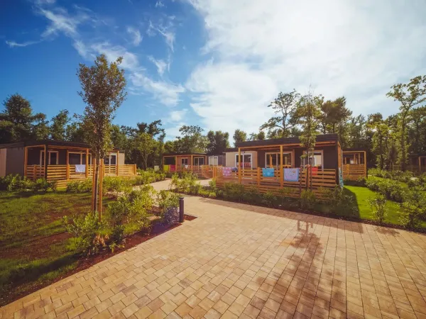Le case mobili Premium Relax Premium Zone del campeggio Roan Park Umag.