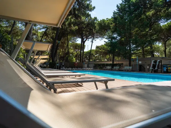 Lettini di lusso a bordo piscina con sole e ombra al campeggio Roan Sole Family Camping Village.