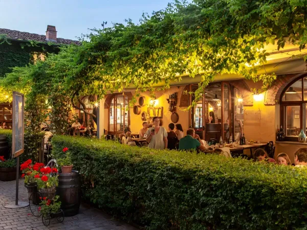 Ristorante alla carta presso il Roan camping hu Norcenni Girasole village.