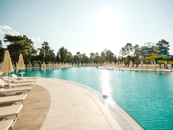 Nuova piscina con lettini e ombrelloni al campeggio Roan di Zaton.