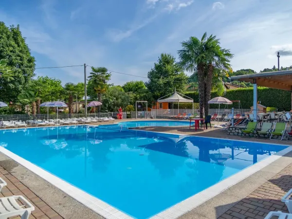 Panoramica della piscina del campeggio Roan Okay Lido.