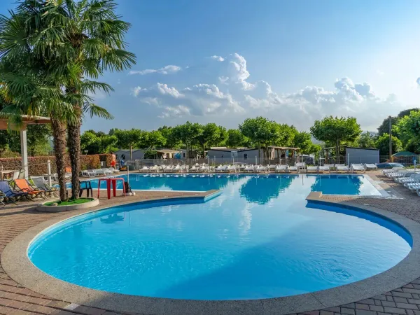 Panoramica della piscina del campeggio Roan Okay Lido.