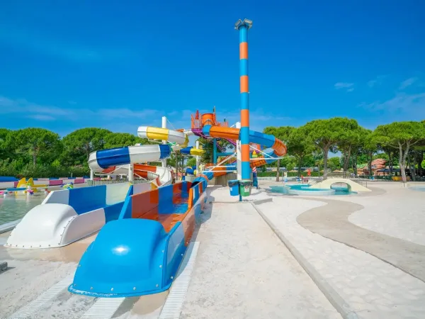 Grandi scivoli nel complesso di piscine del campeggio Roan Union Lido Mare.