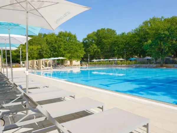 Piscina olimpionica con lettini al campeggio Roan Bijela Uvala.
