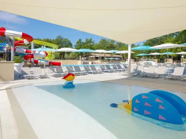 Piscina per bambini al campeggio Roan Bijela Uvala.