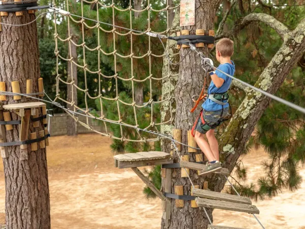 Corso di tree-climbing al campeggio Roan La Grande Métairie.