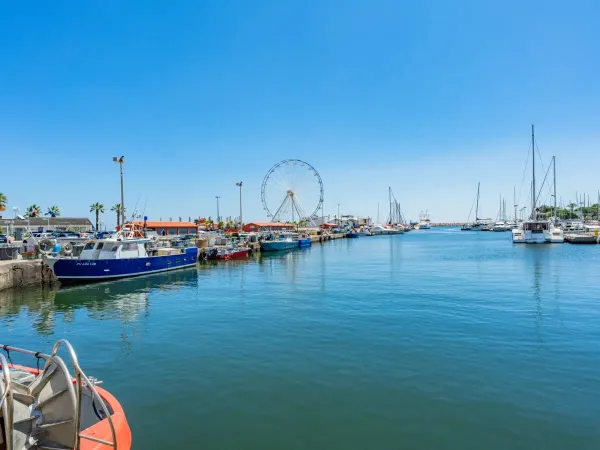 Il villaggio è raggiungibile a piedi Saint-Cyprien, dal campeggio Roan Le Soleil de la Méditerranée.