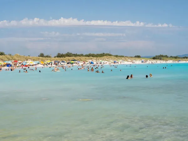 Persone che si divertono in mare vicino al campeggio Roan Del Forte.
