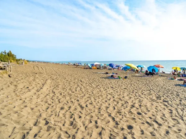 La spiaggia del campeggio Roan Del Forte.