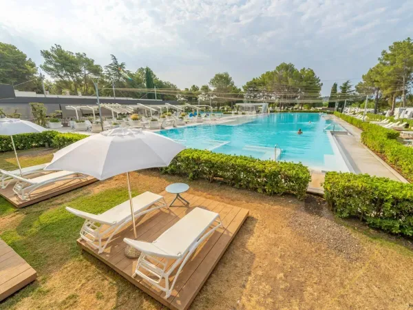 Lettini e ombrelloni presso la bella piscina del Roan camping Valanela.