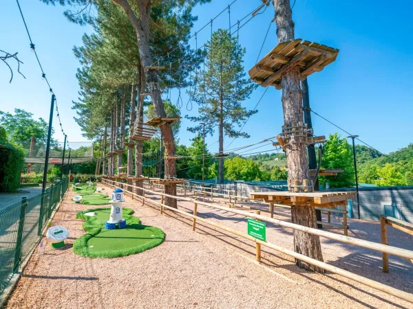Corso di tree-climbing presso il campeggio Roan hu Norcenni Girasole.