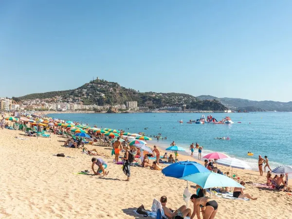 Persone che prendono il sole sulla spiaggia di sabbia del Roan Camping El Pinar.