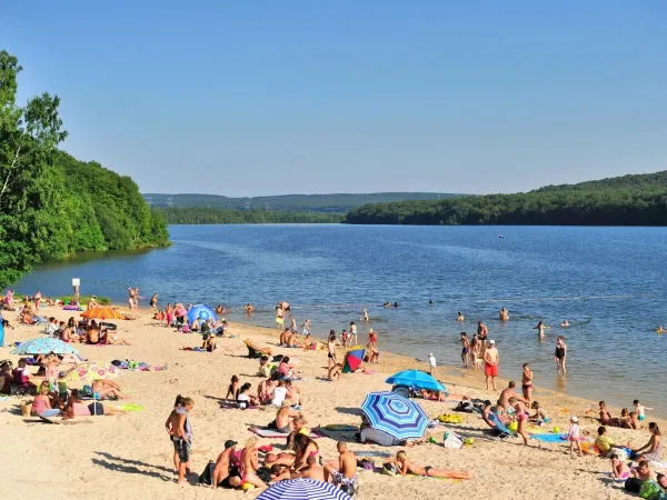 Le famiglie prendono il sole sulla spiaggia del lago al campeggio Roan Le Lac des Vieilles Forges.