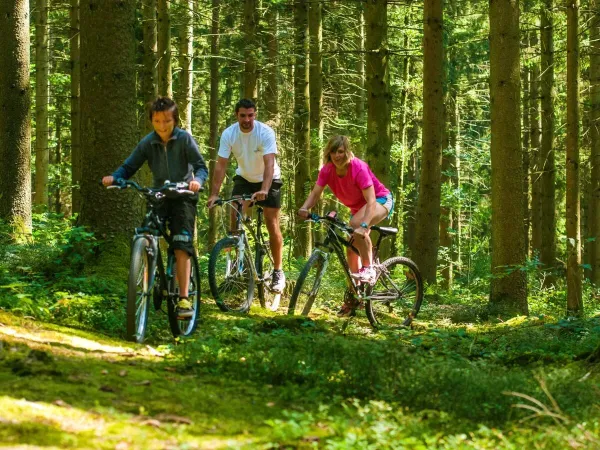 Mountain bike nelle splendide foreste delle Ardenne.