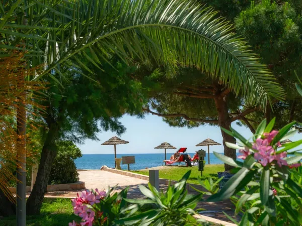 Tanto verde al campeggio Roan Arinella Bianca, ombrelloni in spiaggia.
