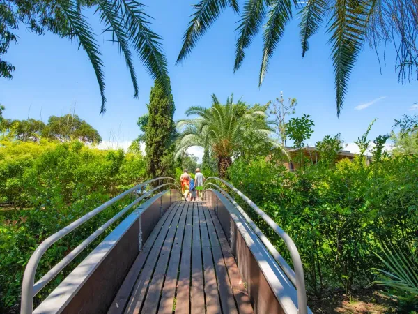 Una passerella con un giardino verde al campeggio Roan Arinella Bianca