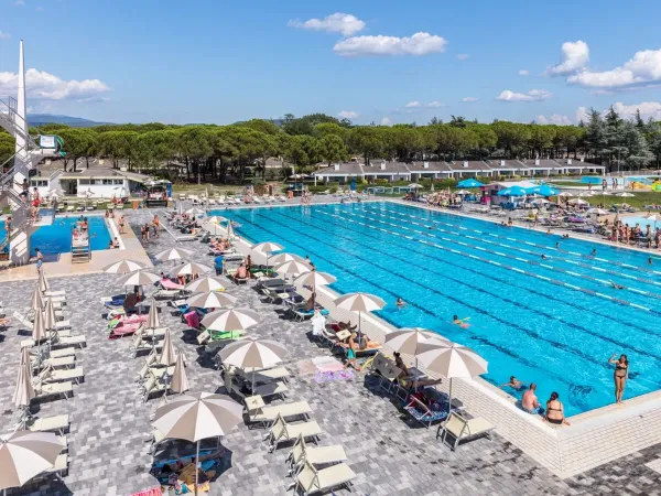 Lettini e ombrelloni a bordo della piscina da competizione del campeggio Roan Marina Julia Camping Village.