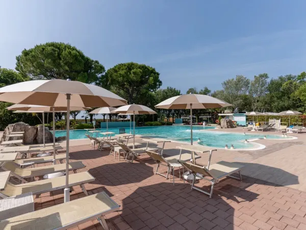 Lettini a bordo piscina al campeggio Roan Tenuta Primero.