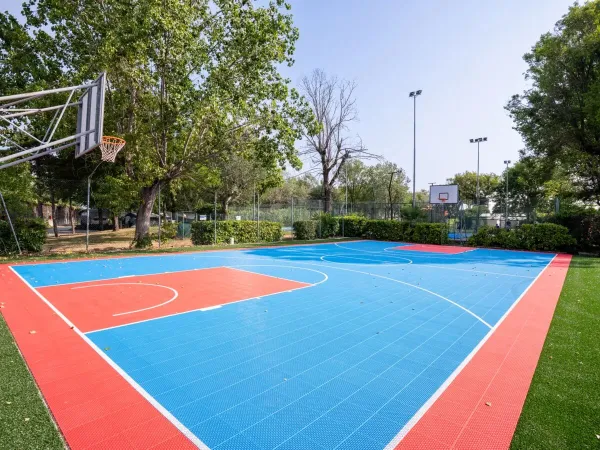 Campo sportivo polivalente presso il campeggio Roan Tanuta Primero.