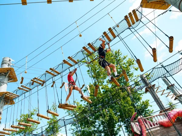 I bambini si arrampicano sul percorso di arrampicata del campeggio Roan Le Lac des Vieilles Forges.